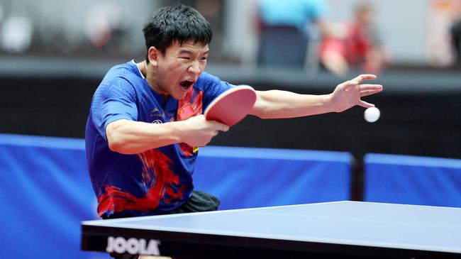 牛的比赛为 牛的比赛为